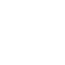 pdfIcon