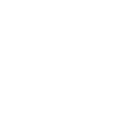 pdfIcon